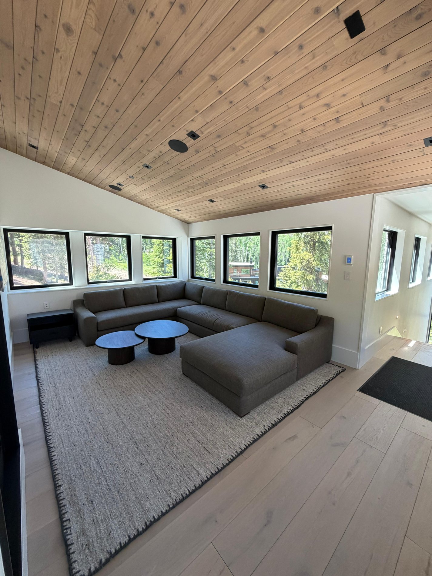 Finished family lounge with cedar ceiling, custom window details, and soft furnished seating