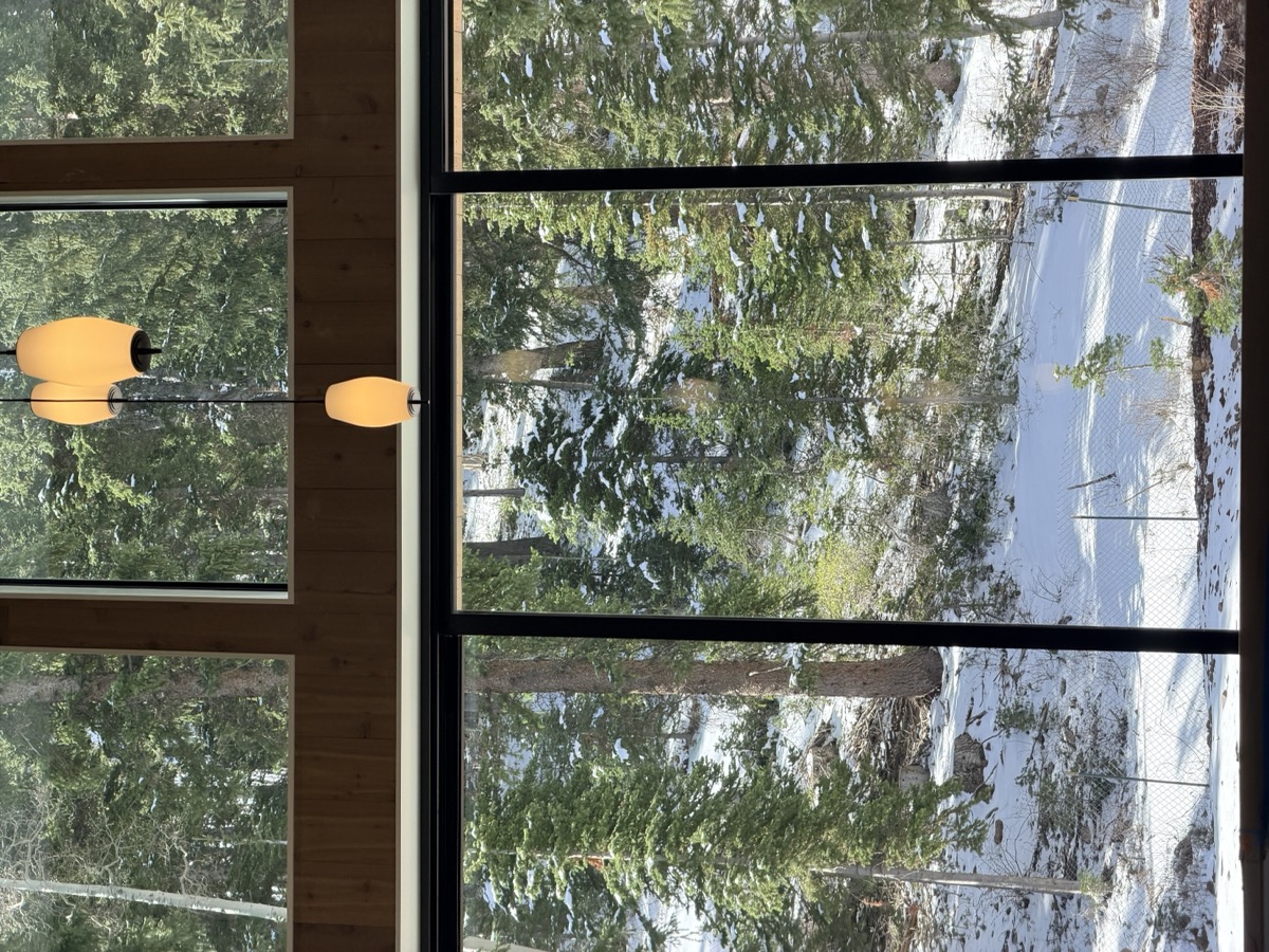 Fine vertical wood grain and custom interior finish detail